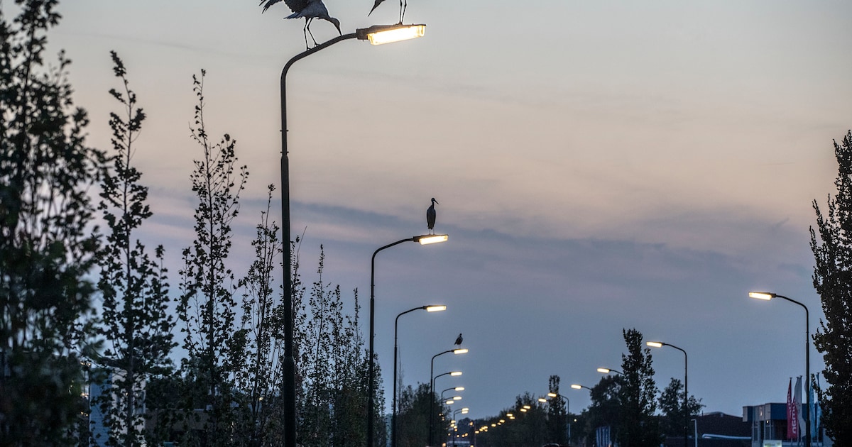 Pekela vervangt straatverlichting en verkoopt oude lantarenpalen