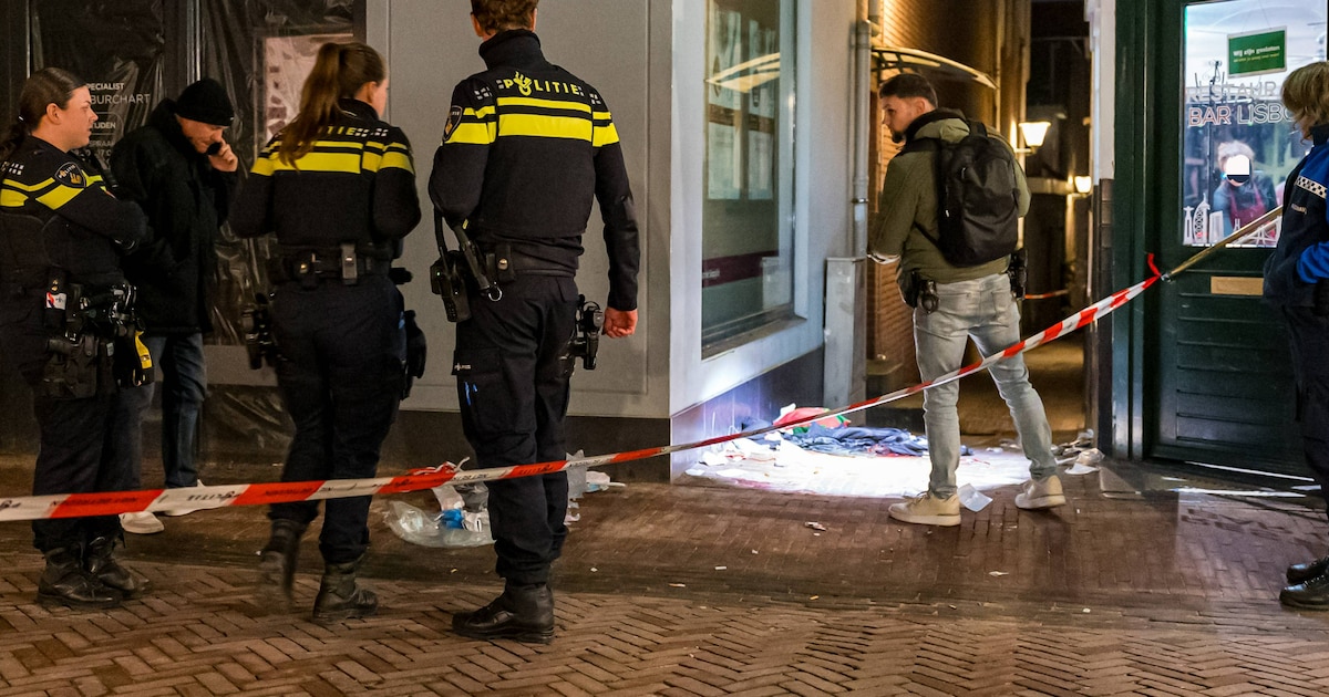 Verdachte dodelijke steekpartij, na ruzie over aaien hond, blijft op vrije voeten