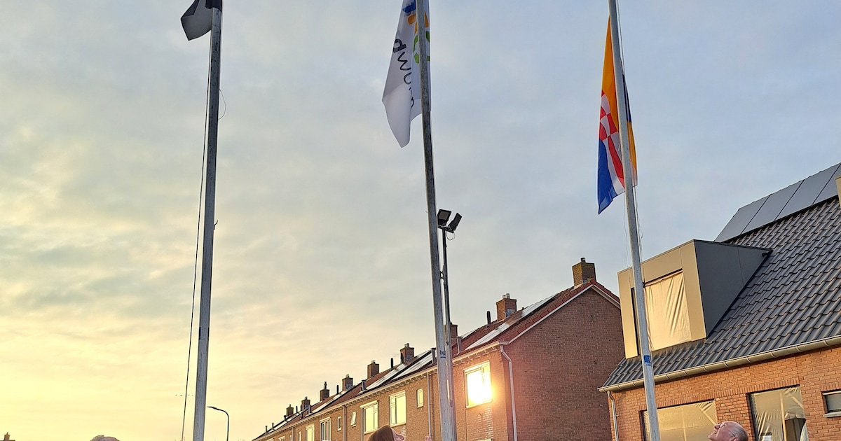 Drie vlaggen in top: nieuwbouw in Genemuiden bereikt hoogste punt