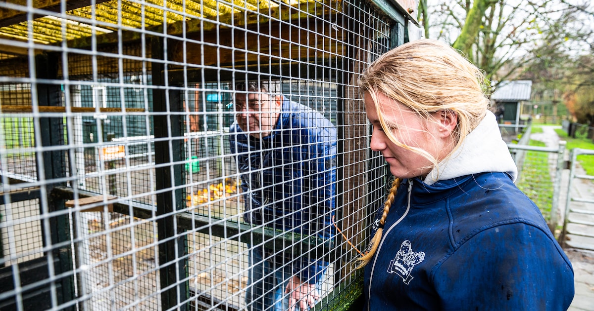 Kinderboerderij Zegersloot in Alphen aan den Rijn krijgt renovatie