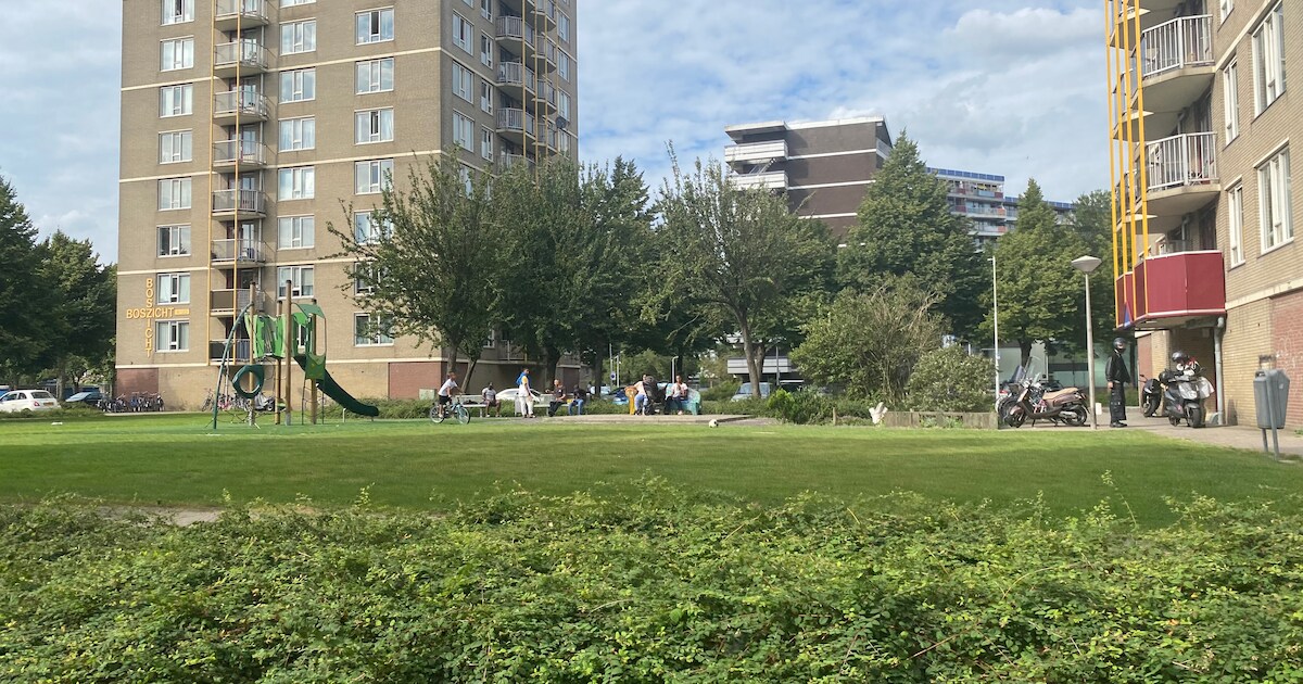 Bewoners luiden noodklok: ‘Meerzicht verandert in een getto’ | Foto