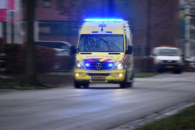 Image related to the article