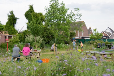 Rheden zet eetbaar openbaar groen en oogstbrigade in de schijnwerpers