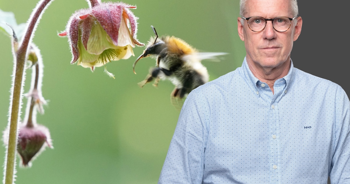 Hoge uitstoot van stikstof: doen we genoeg om de natuur te beschermen?