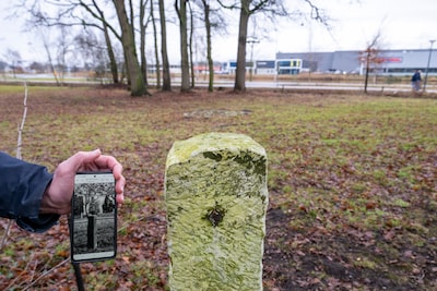 Image related to the article