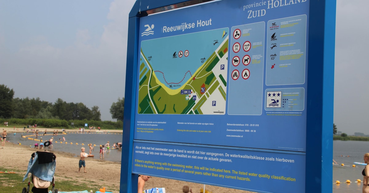 Reeuwijkse Hout als festivalterrein? Gemeente geeft toestemming voor grote muziekevenementen bij Sur