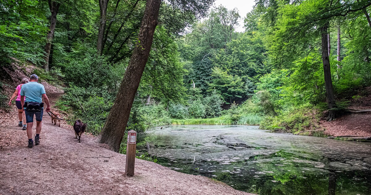 Gratis wandeling met gids over St. Jansberg in Milsbeek