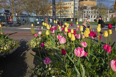 Uittips: dit is er dit weekend te doen in Arnhem (17 - 19 april)