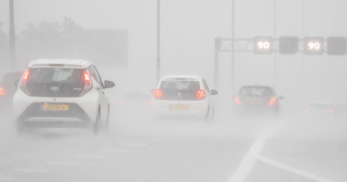 Mijd bomen en houd afstand: zeven tips voor rijden bij storm en harde ...