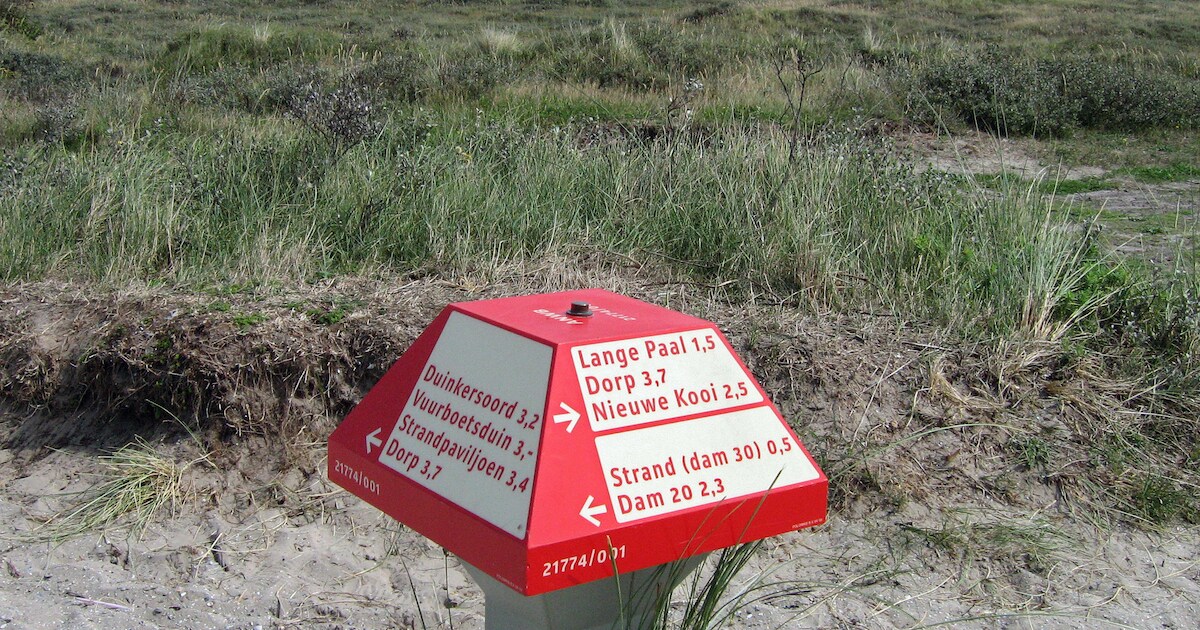 Eenmaal, andermaal: ANWB-paddenstoelen Terschelling brengen 'zeker 30.000 euro' op