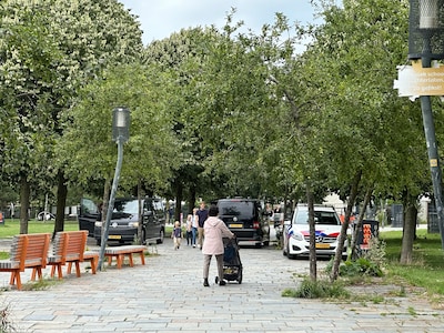 Man betast meisje (7) en zichzelf terwijl ze verstoppertje speelt in Griftpark