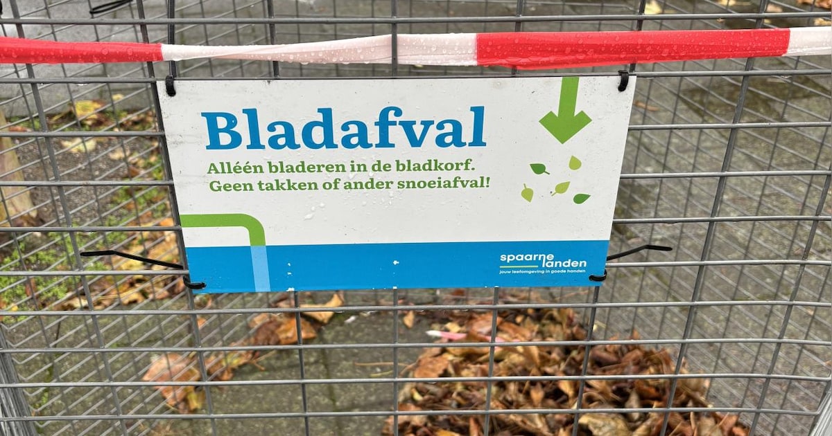 Bladkorven in Zandvoort en Bentveld helpen bij bladruimen
