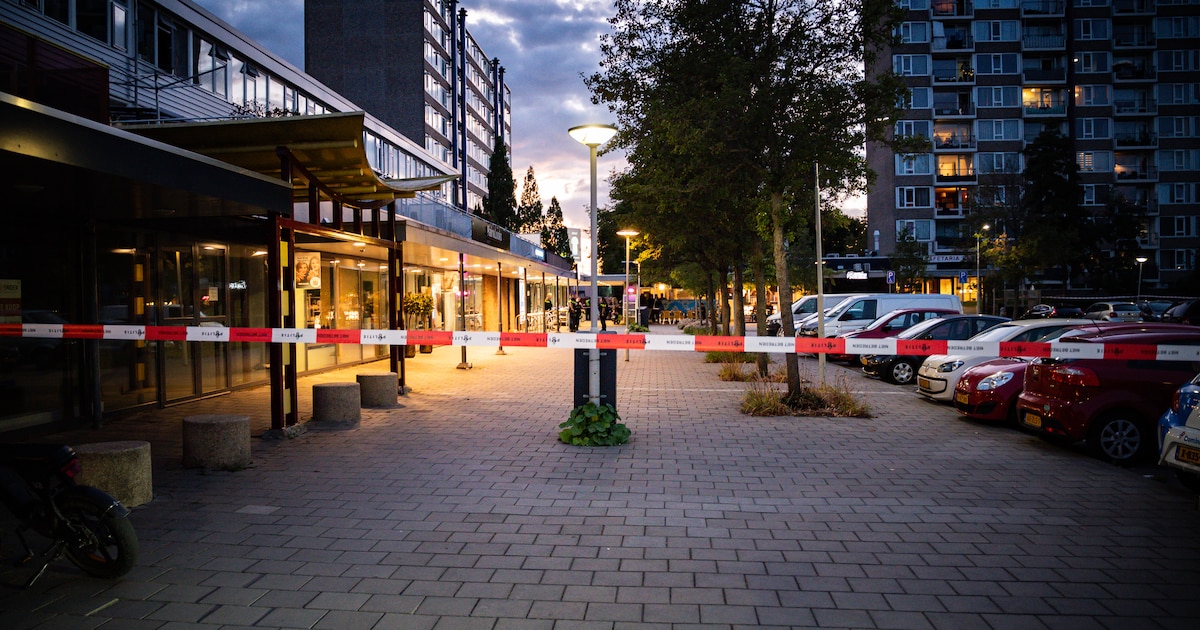 Tapgesprek van verdachte van moordpoging zou ‘verkeerd vertaald’ zijn, Gorcumer (49) blijft vastzitt