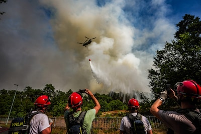 Grote natuurbrand Limburg is lastig te blussen: ‘Bomen bevatten hars en dat is als het ware brandstof’