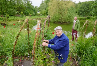 Bezig bijtje Lidou (80) bouwt een paradijsje voor solitaire bijen en wespen; ‘Ik blijf hier komen, a