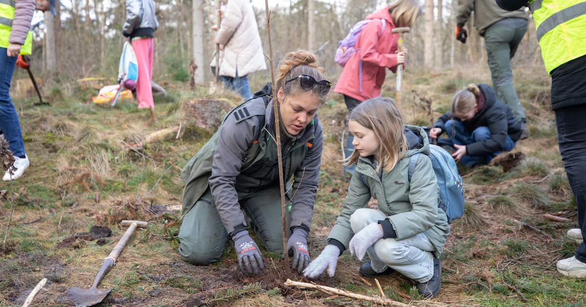 Eerste kinderbos in Limburg wordt geplant in Roerdalen