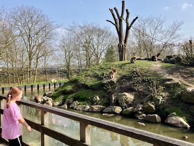 Image related to the article