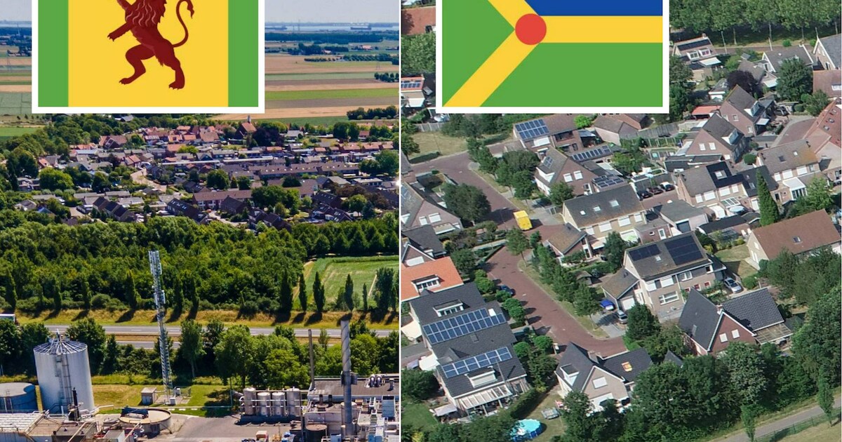 Lewedorp en Nieuwdorp krijgen eindelijk een vlag: ‘Dit zijn belangrijke symbolen’