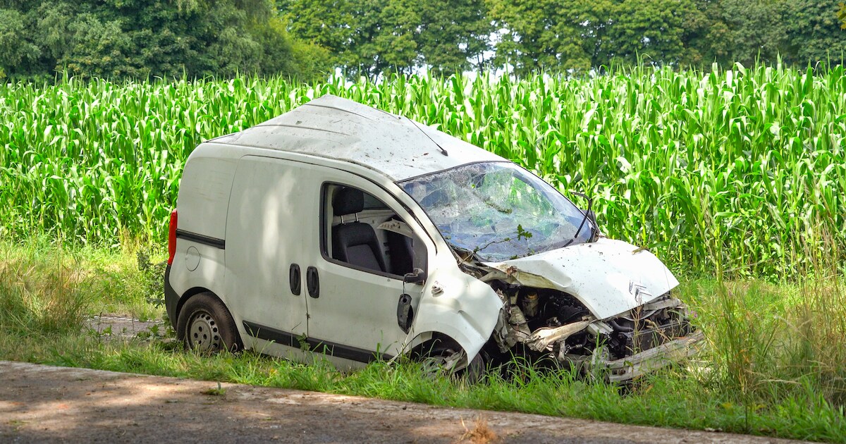 Bestelbus crasht op boom langs N365 bij Bourtange, bestuurder gewond