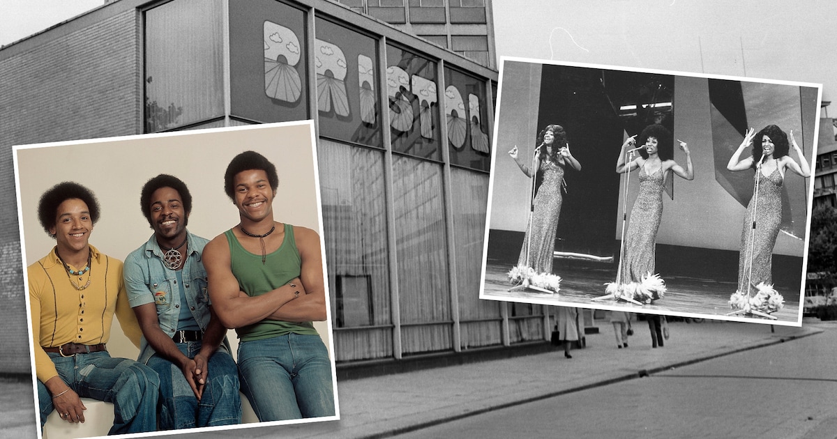 Legendarische bands leuken reünie disco Bristol op in Rotterdam