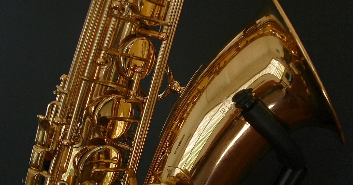 Eindejaarsconcert in Someren-Eind