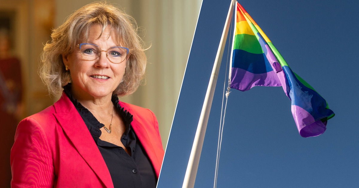 Burgemeester Oldebroek reageert op diefstal regenboogvlaggen