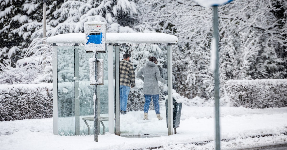 Er is geen sneeuwvlokje gevallen vandaag, toch reden er geen bussen in provincie Utrecht. Dit is waa
