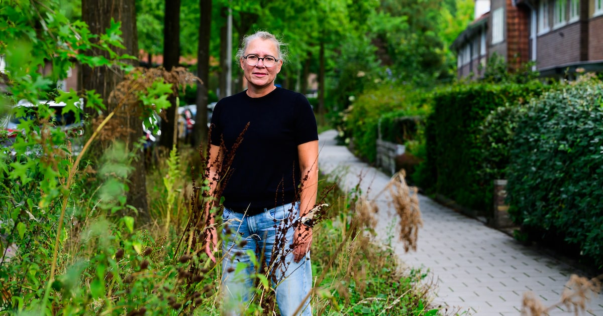 Overwoekerend groen over de stoep en onkruid in de berm: ‘Je zal hier maar met een rollator lopen’