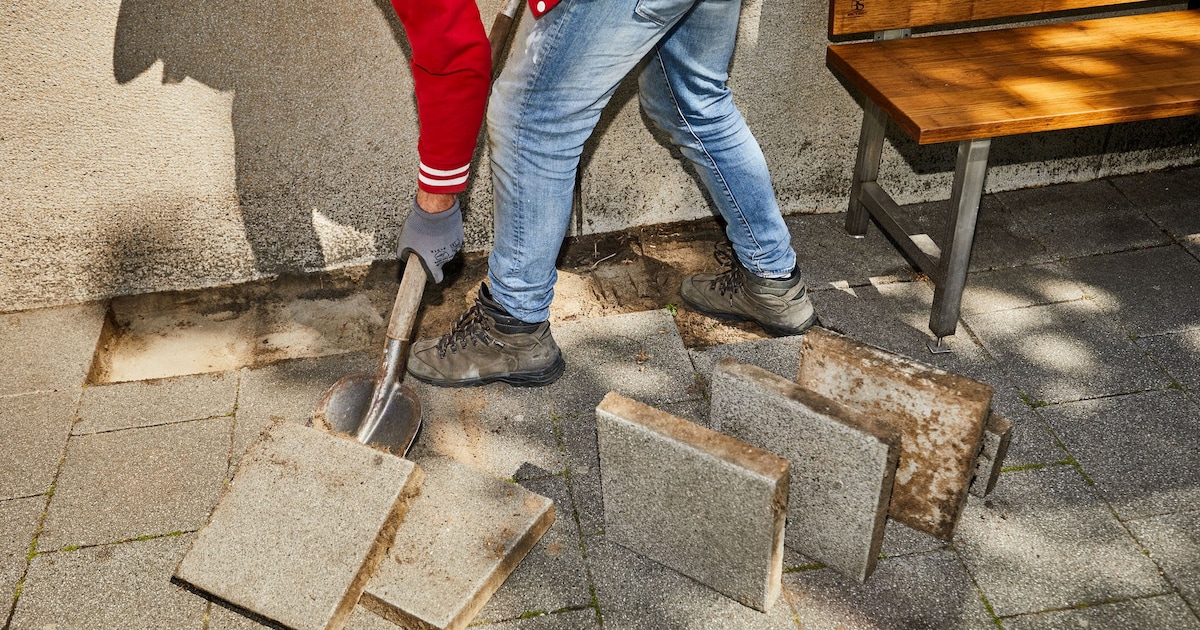 Gemeente Sittard-Geleen beloont bewoners: tot 40 euro voor tegels bij NK Tegelwippen