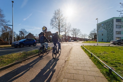 Vriezenveenseweg in Almelo op de schop: dit gaat er veranderen