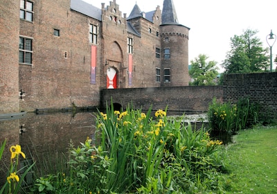 Image related to the article