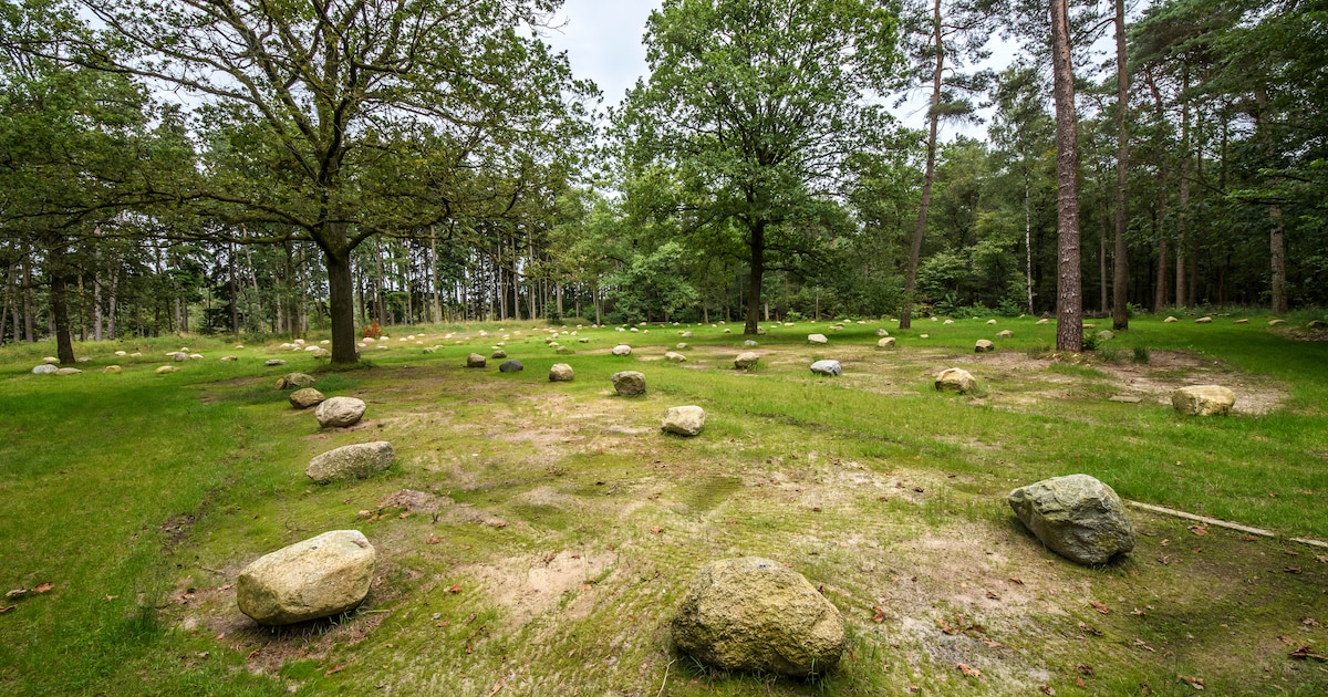 Werkzaamheden op Het Waarveld in Haaksbergen: drainage moet natte voeten voorkomen