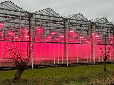 Plan aangepast, uitbreiding glastuinbouw Moerkapelle kan nu doorgaan