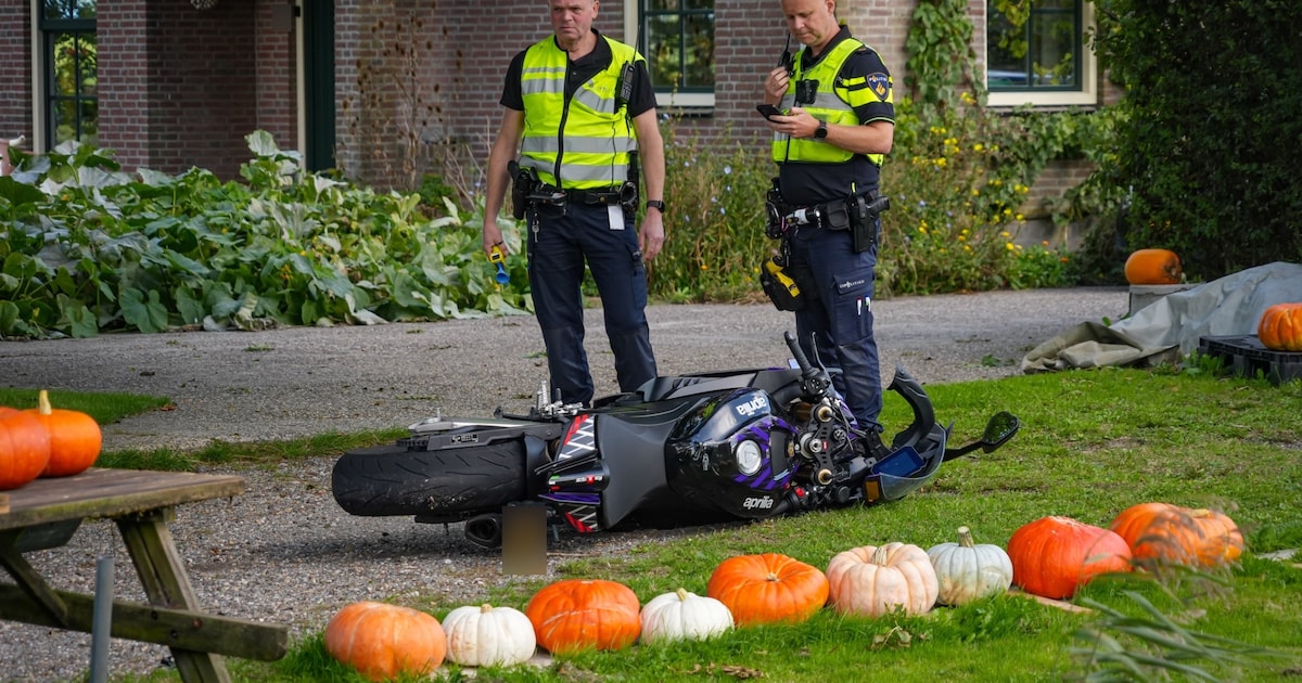 Motorrijder eindigt tussen de pompoenen na harde botsing met Tesla in Den Horn