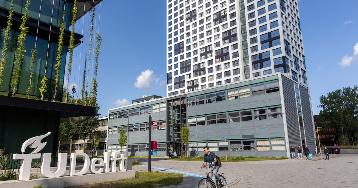 Pro-Palestijnse demonstratie TU Delft-gebouw, negentig protestanten ...