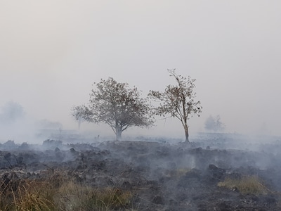 Ruim 600 mensen geëvacueerd om ‘ergste brand in Belgische geschiedenis’, vuur blijft uitbreiden
