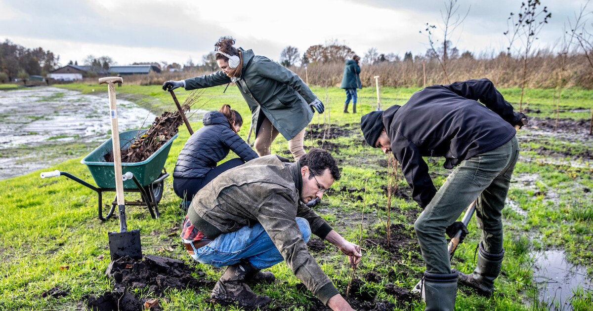 Buurtbewoners Grote Boterbloem in Velserbroek leggen eetbare buurttuin aan | Velsen