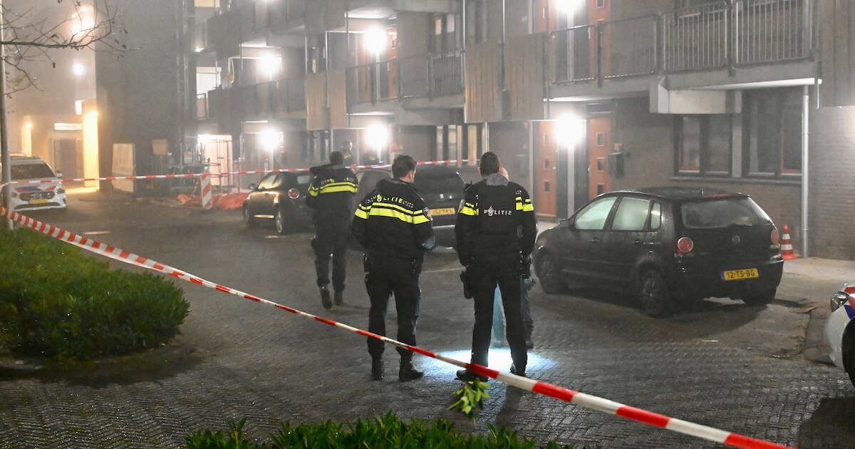Drie mannen aangehouden na schietincident in Vianen, wapens aangetroffen bij huiszoeking