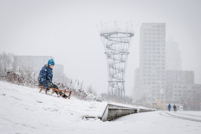 Image related to the article