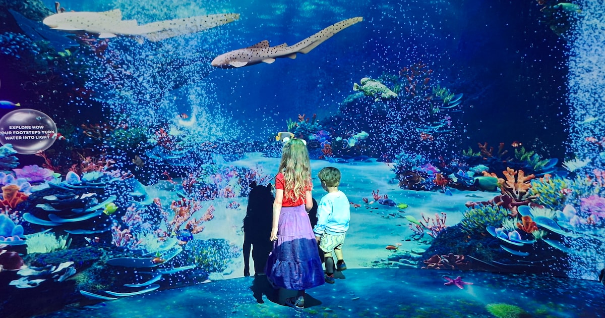 Sea Life Scheveningen is weer open: dit is er allemaal vernieuwd | Foto