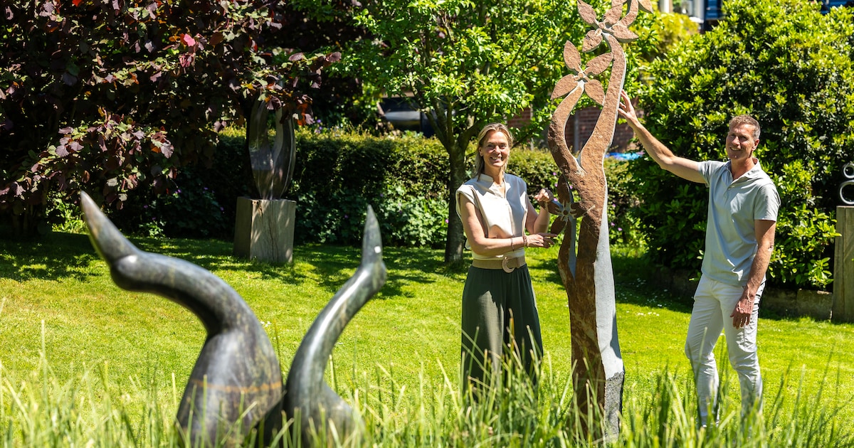 Beeldentuin in Den Hoorn opent met Zimbabwaanse kunst