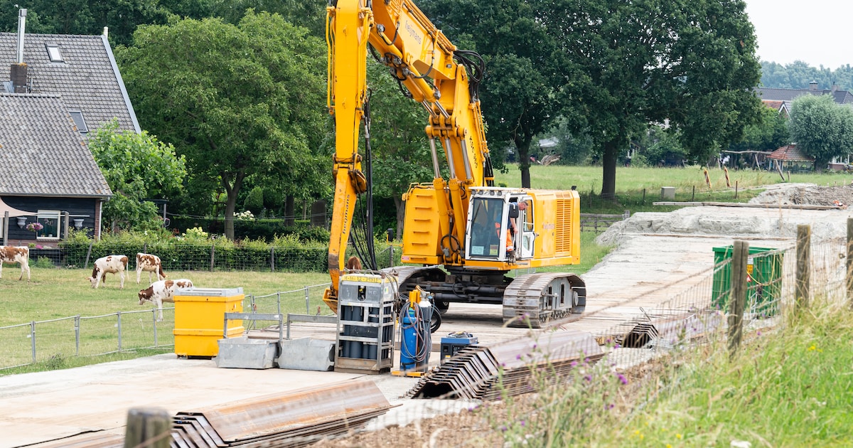 Veehouder in Amerongen vecht tegen versterking Lekdijk uit vrees voor natte voeten, maar vangt alsno
