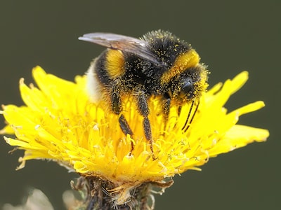 Image related to the article