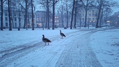 Sneeuwpret! Heb jij een leuke foto? Stuur ‘m in