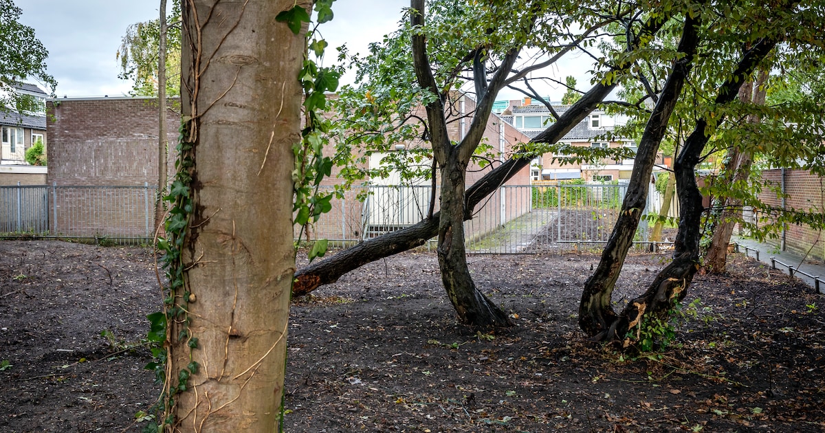 Buurtbewoner vecht bouw van 37 garageboxen in Nootdorp aan, maar krijgt geen gelijk van rechter
