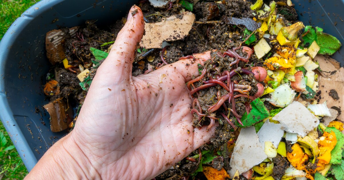 Gratis compost op Landelijke Compostdag in Sliedrecht | Regio | AD.nl