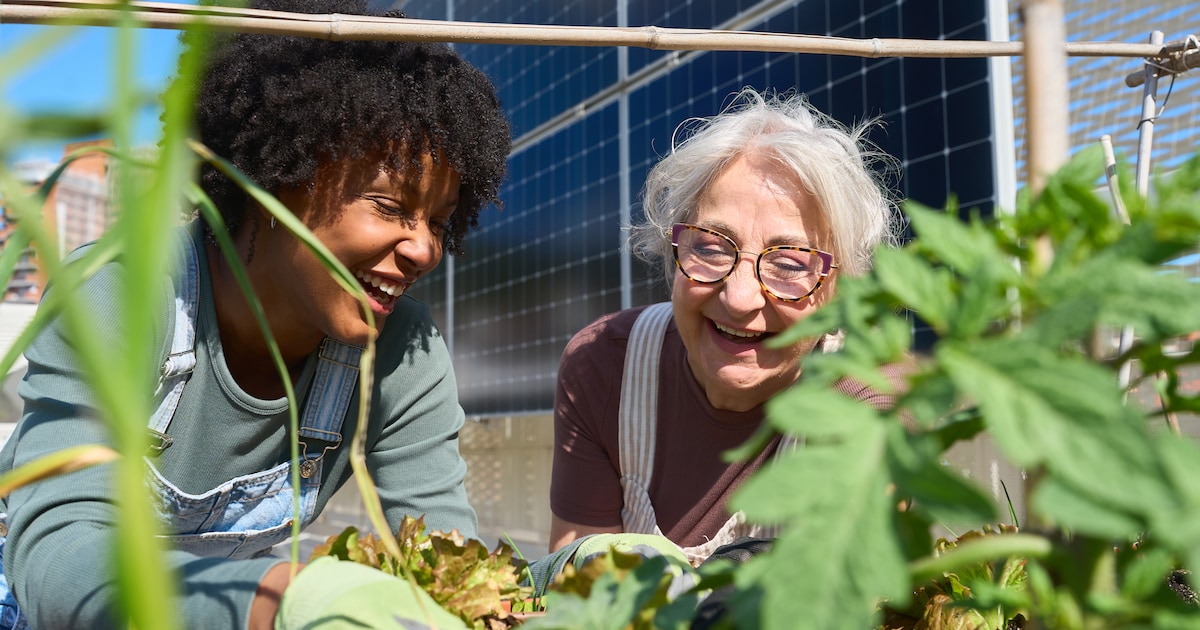 Steeds meer inwoners Rijssen-Holten maken gebruik van duurzaamheidsregelingen
