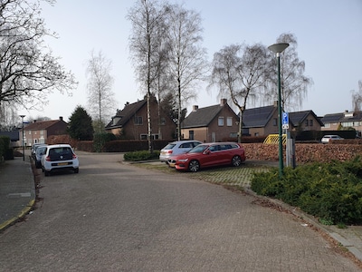 Herinrichting wijk Bergeijk gaat 3,2 miljoen euro kosten: meer groen, waterberging en wandelroutes