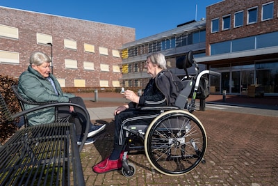 Image related to the article