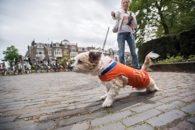 Mij krijgen ze niet meer krankzinnig, zelfs niet op de meest bezopen dag van het jaar